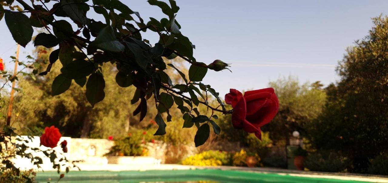 Livadi Studios With Pool ลักกา ภายนอก รูปภาพ